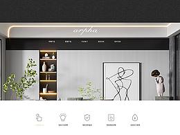 企業(yè)品牌網(wǎng)站