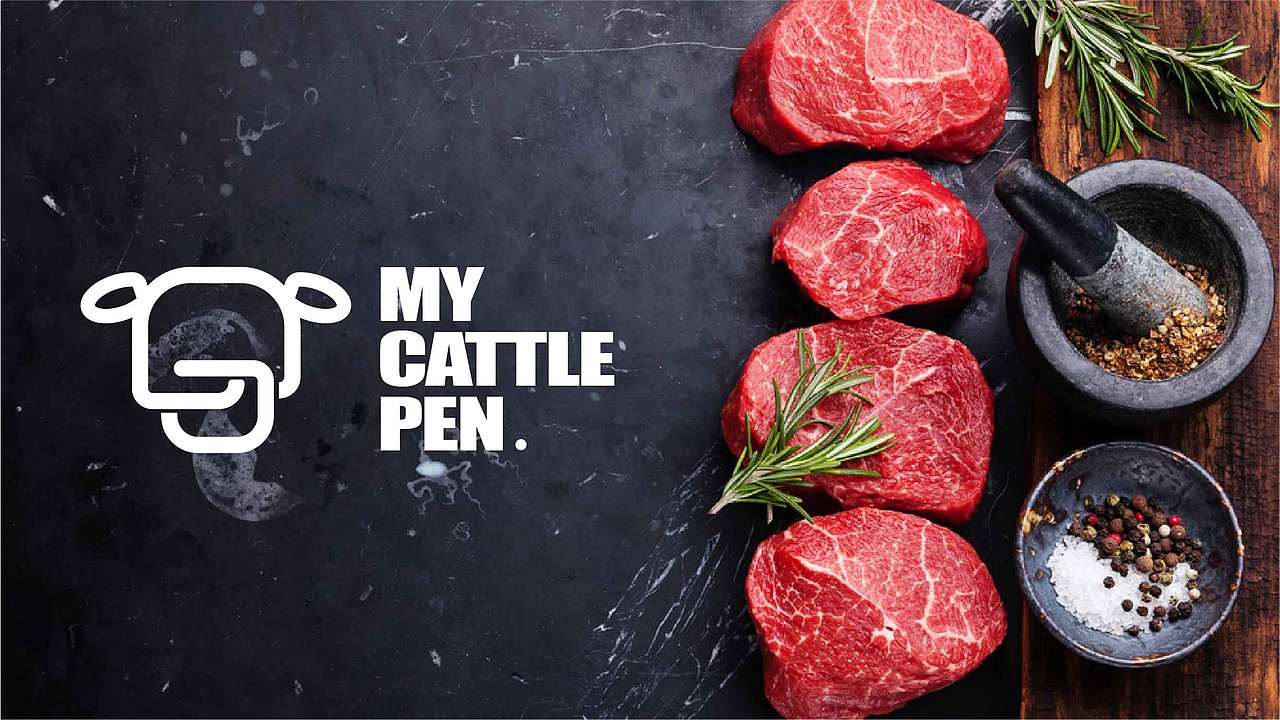 【标志/LOGO】生鲜牛肉品牌（图ZNzIyOTU0MTY=） - 品牌 - 站酷设计师xiaolu0621原创素材 - 站酷ZCOOL