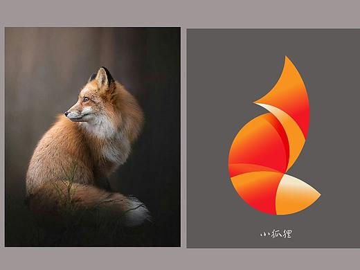 AI golden ratio fox  AI插画勾勒练习