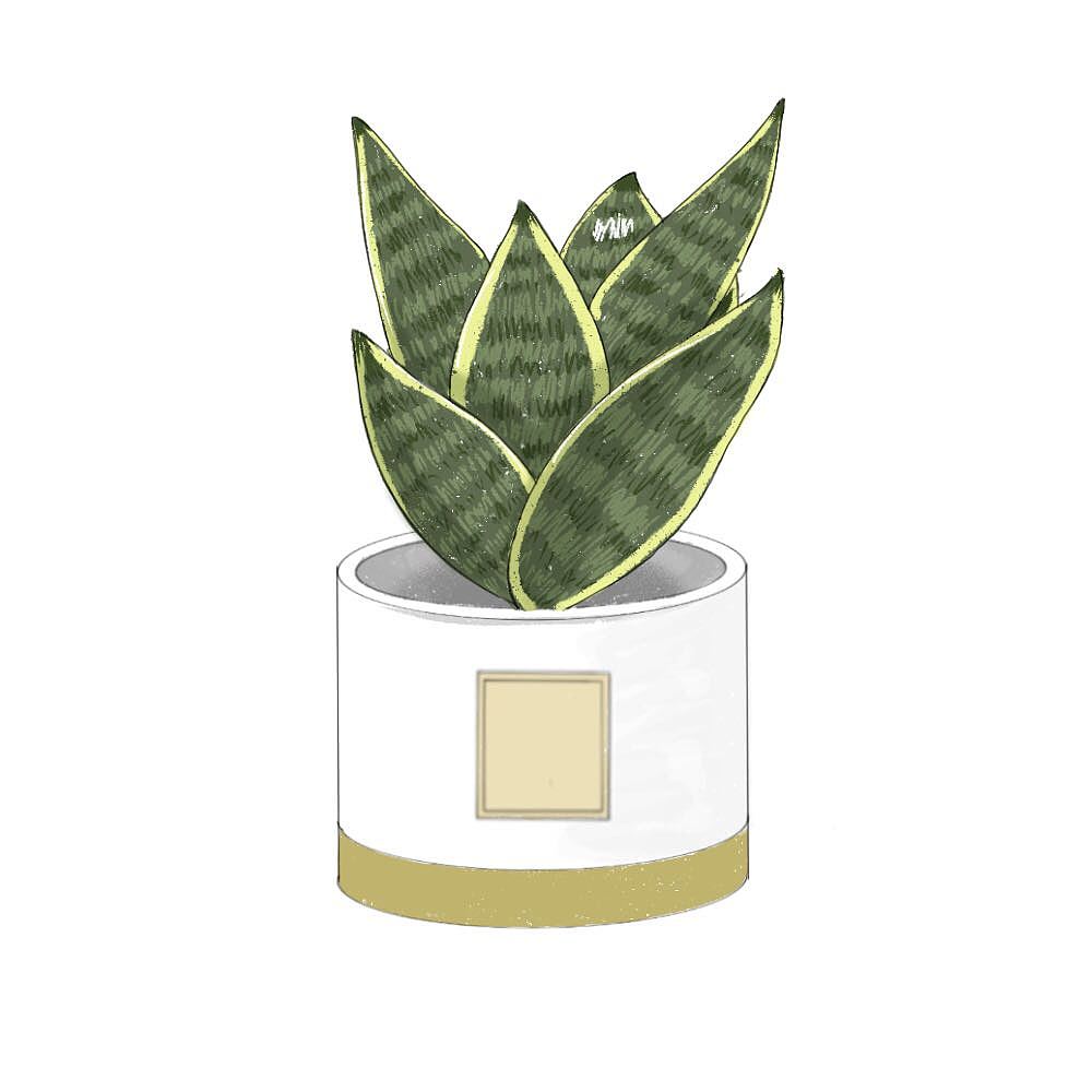 Procreate手绘练习（图ZMjg5MTEzMDU2） - 创作习作 - 站酷设计师哆拉拉哟原创素材 - 站酷ZCOOL