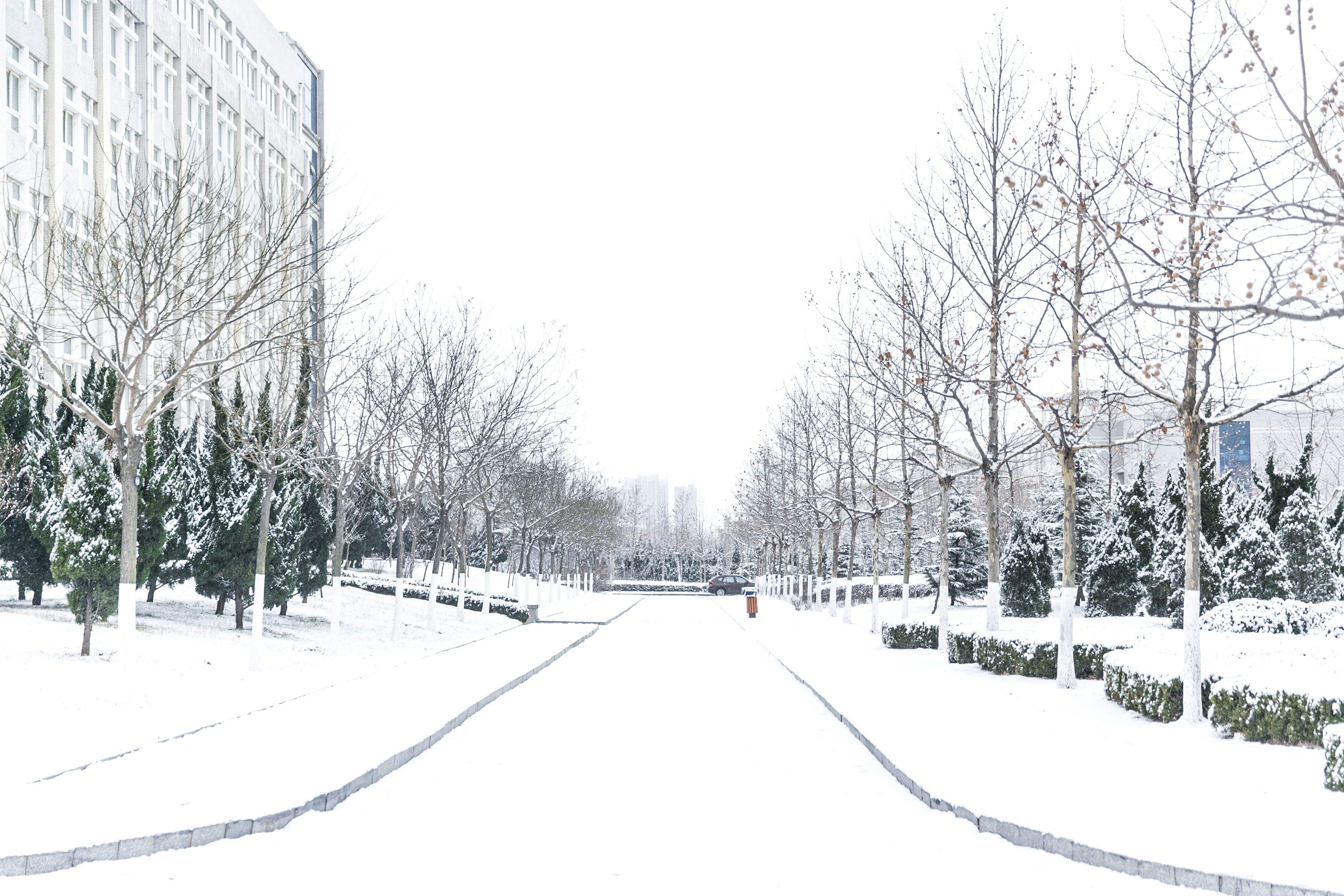 啊啊醬的個(gè)人主頁（封面預(yù)覽） - 主頁封面設(shè)置 - 站酷設(shè)計(jì)師啊啊醬原創(chuàng)素材 - 站酷ZCOOL