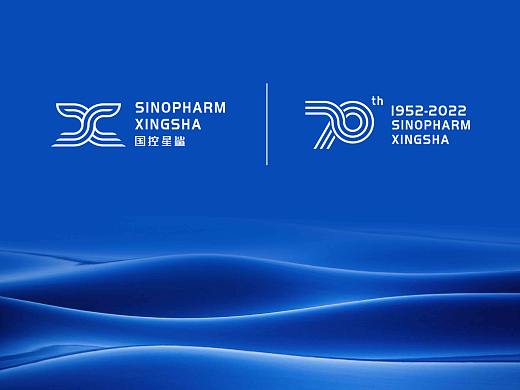 国控星鲨 LOGO&70周年徽标 设计