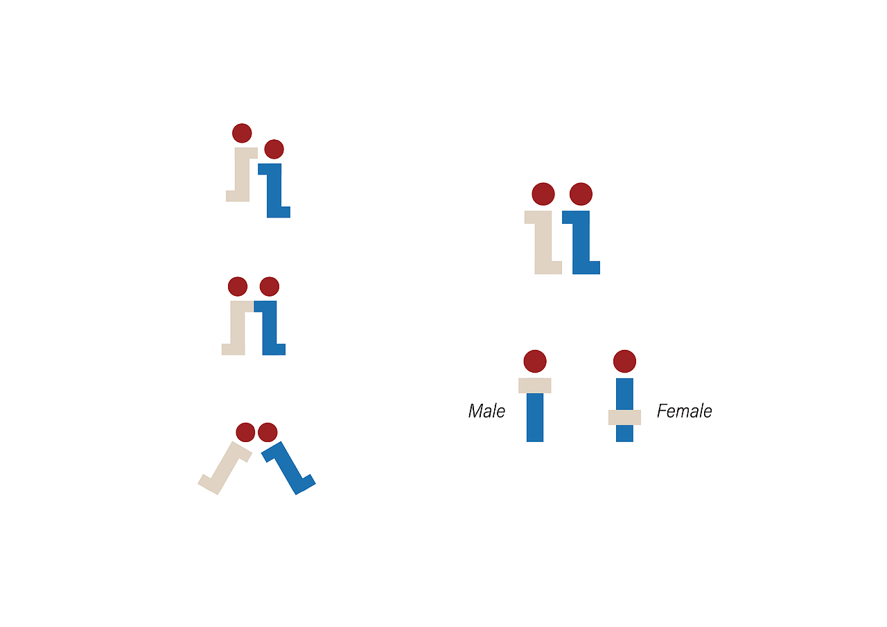 iNews 品牌设计(更新中)
