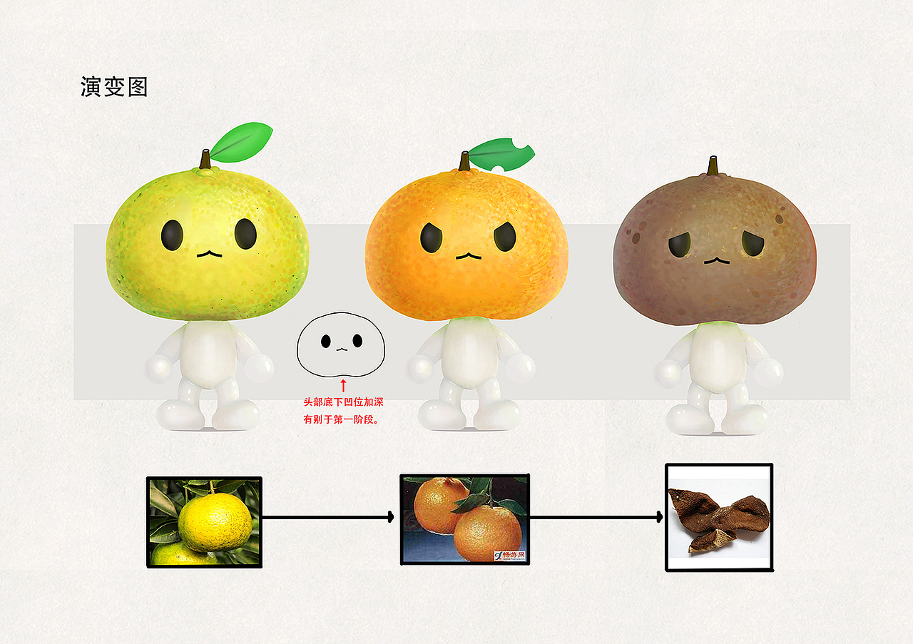 演变图:柑青——大红——到最后陈皮的部分,我认为就像一个人的一生,青春——成熟(子代)——年迈的一个过程,我希望能利用这条线索丰富这组手绘插画。