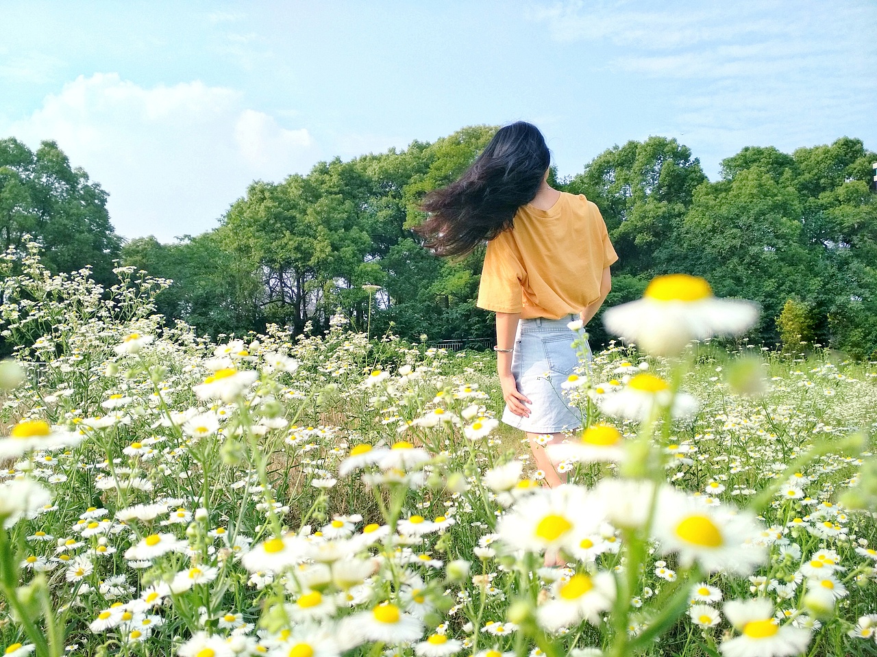 今日份的小姐姐