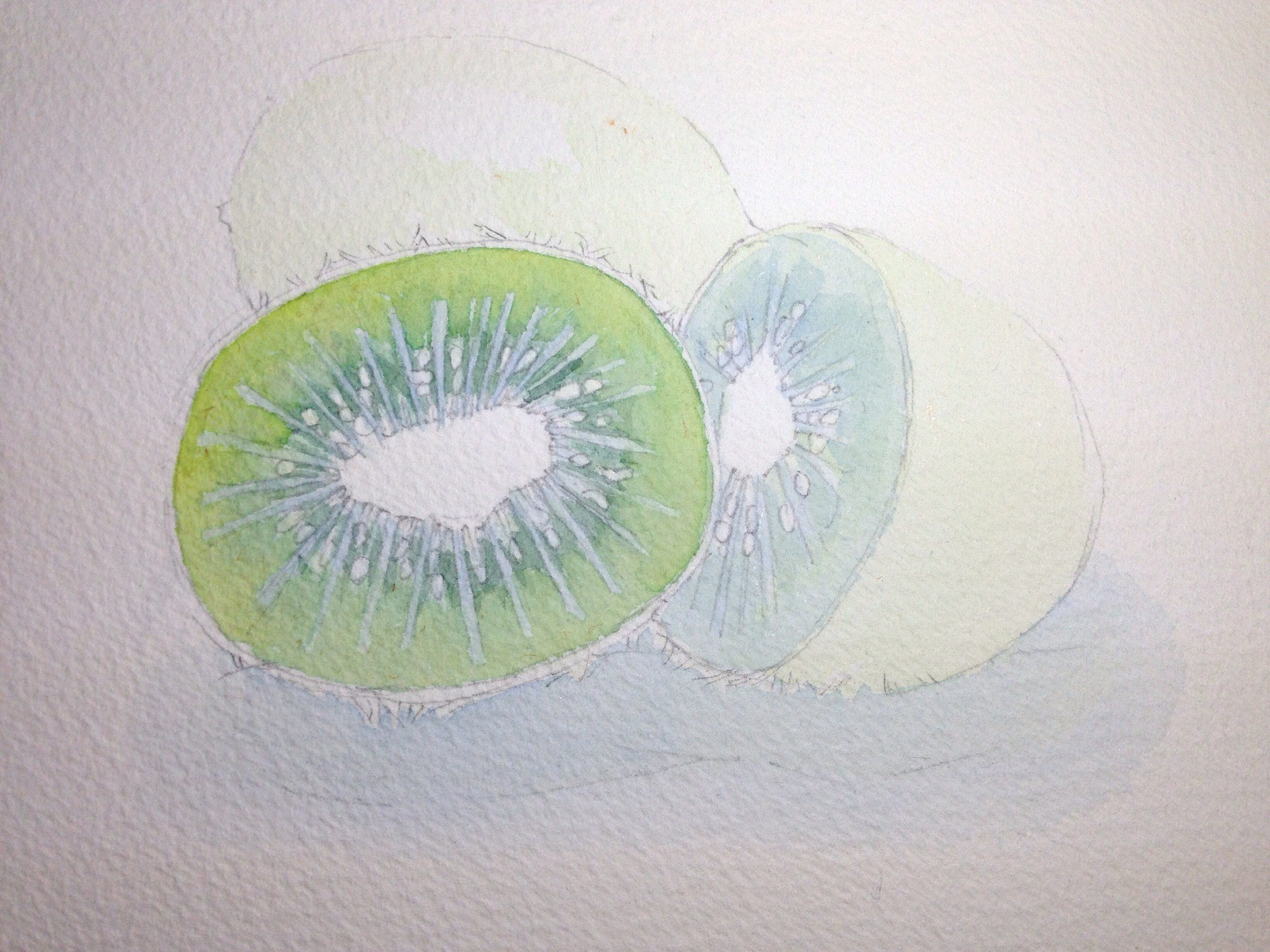 水彩插画全日课堂示范——猕猴桃