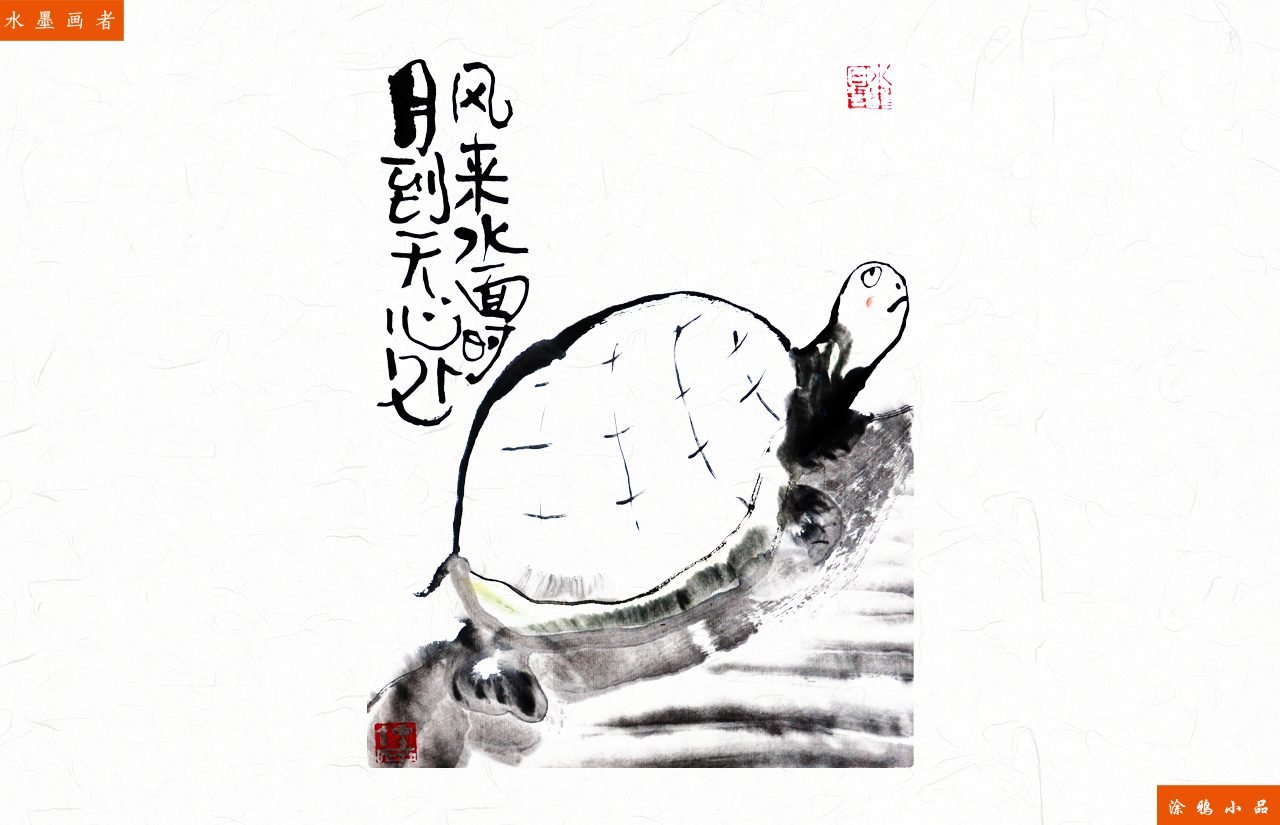 水乌龟作品图片