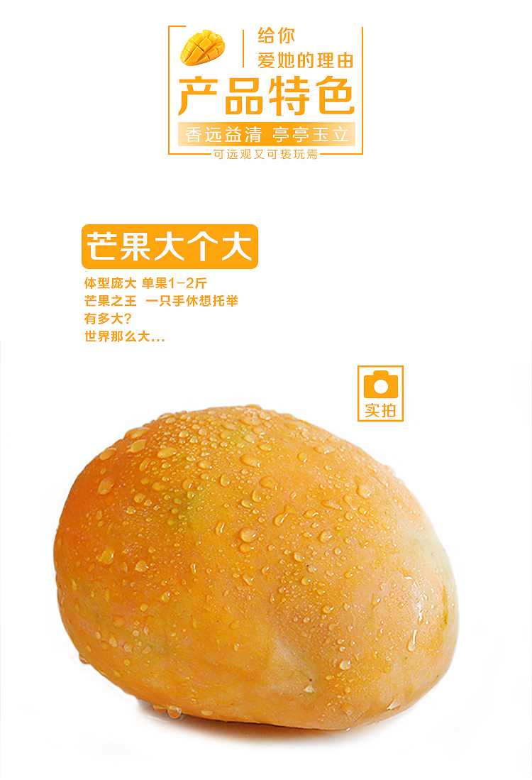芒果详情页（图ZNzY5NjkxODg=） - 电商 - 站酷设计师SugarNO1原创素材 - 站酷ZCOOL