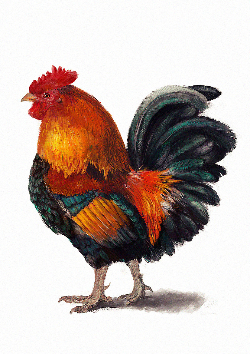 年前 257 3 0 深圳  |  设计爱好者 还会细化的 - 推荐 原创  -  插画