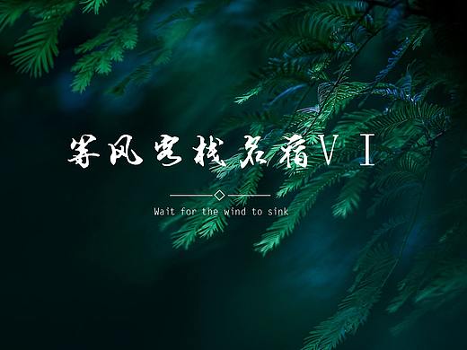 名宿vi