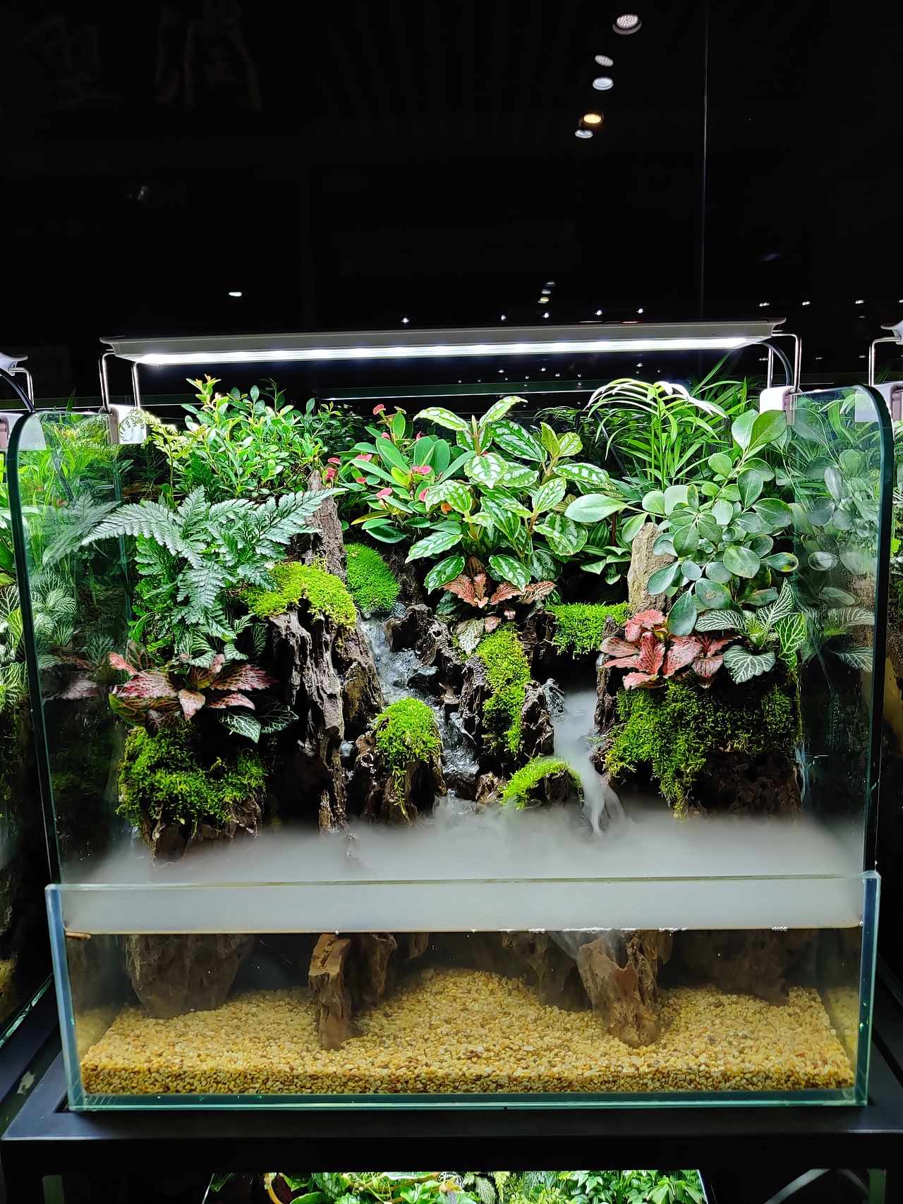 水陆常规缸，雨迹雲踪·Liangki良奇制作（图ZMjM5Njg2Nzk2） - 其他手工艺 - 站酷设计师Liangki良奇原创素材 - 站酷ZCOOL