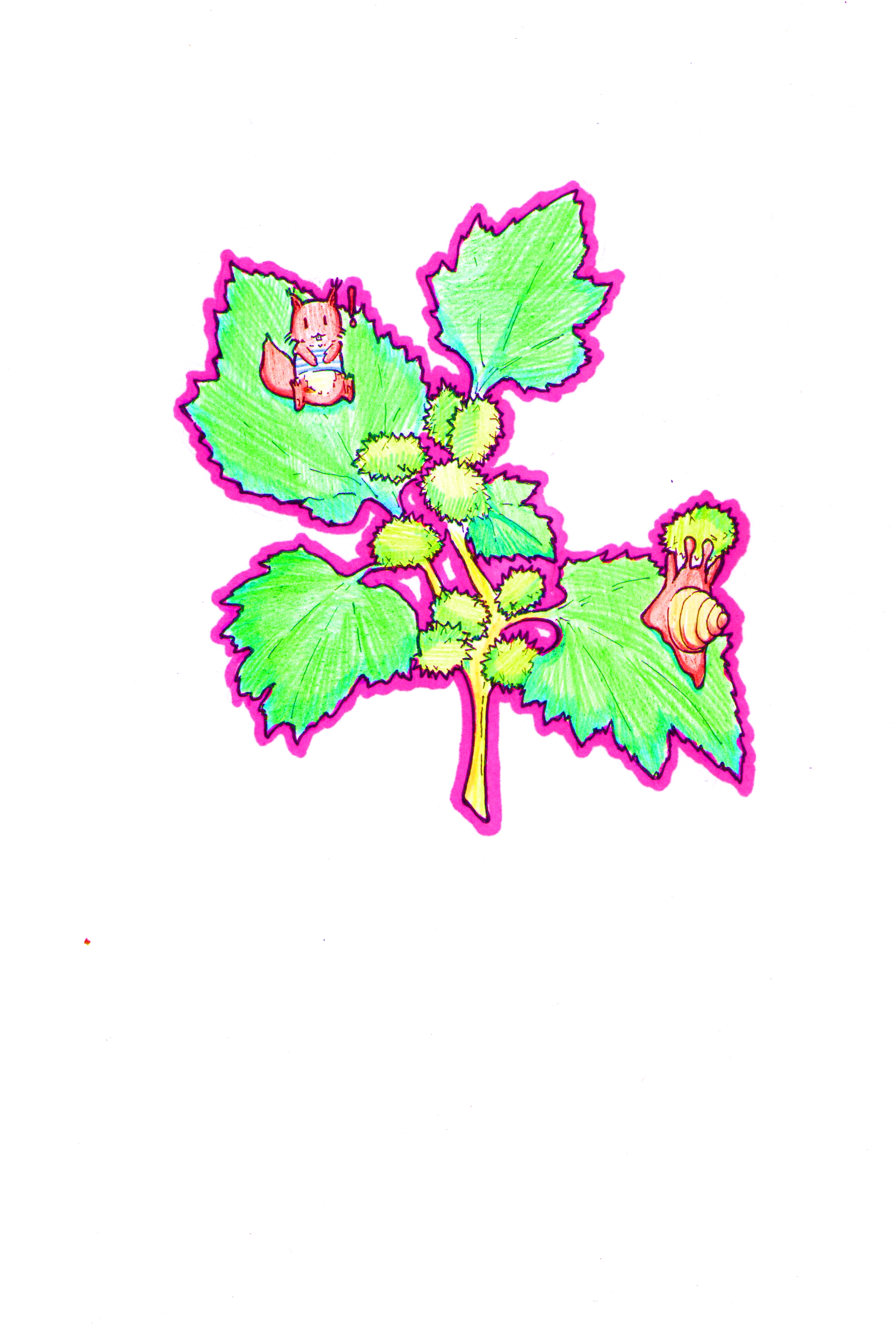 《扔苍耳》 苍耳真的是让人又爱又恨的植物啊,那一颗颗小刺球,真的是