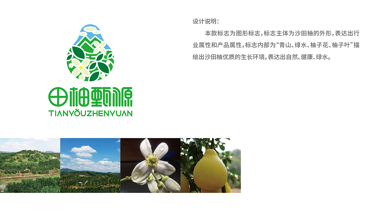 田柚甄源logo设计提案-飞机稿（图ZMTc1MTY1NzMy） - Logo - 站酷设计师黑璞设计原创素材 - 站酷ZCOOL