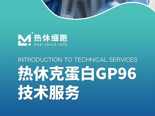 GP96折页