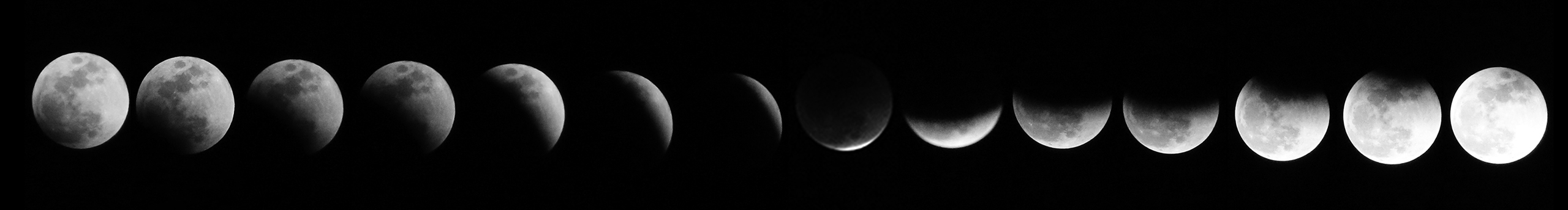 ElvisWang2016的個(gè)人主頁（封面預(yù)覽） - 主頁封面設(shè)置 - 站酷設(shè)計(jì)師ElvisWang2016原創(chuàng)素材 - 站酷ZCOOL