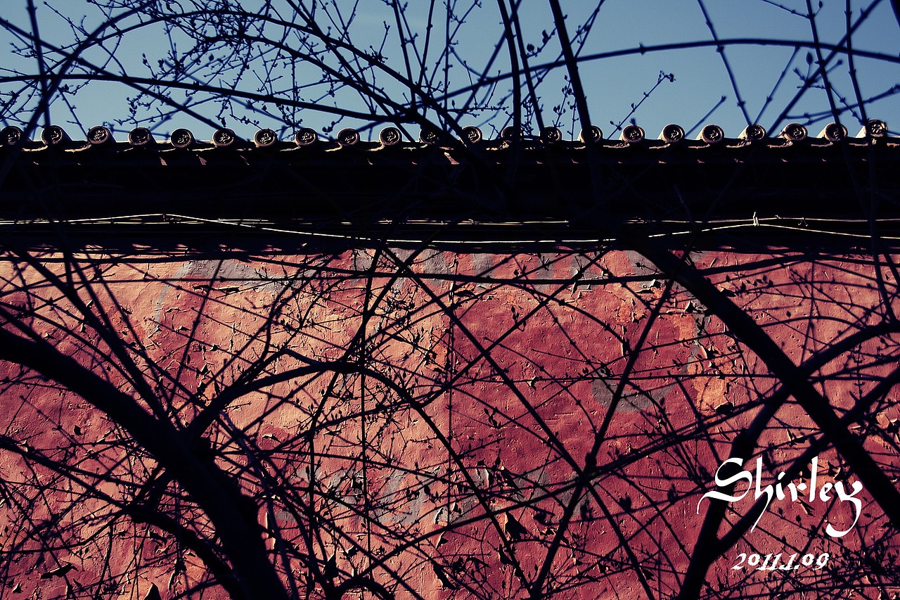 天安门一带的风景（图ZMjIwNzk4NA==） - 其他摄影 - 站酷设计师yushanpiaoxue原创素材 - 站酷ZCOOL