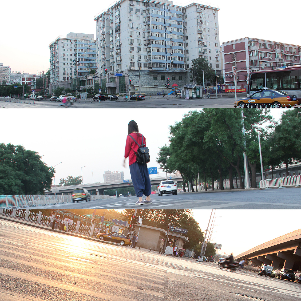 【一个人的歌】玉渊潭公园