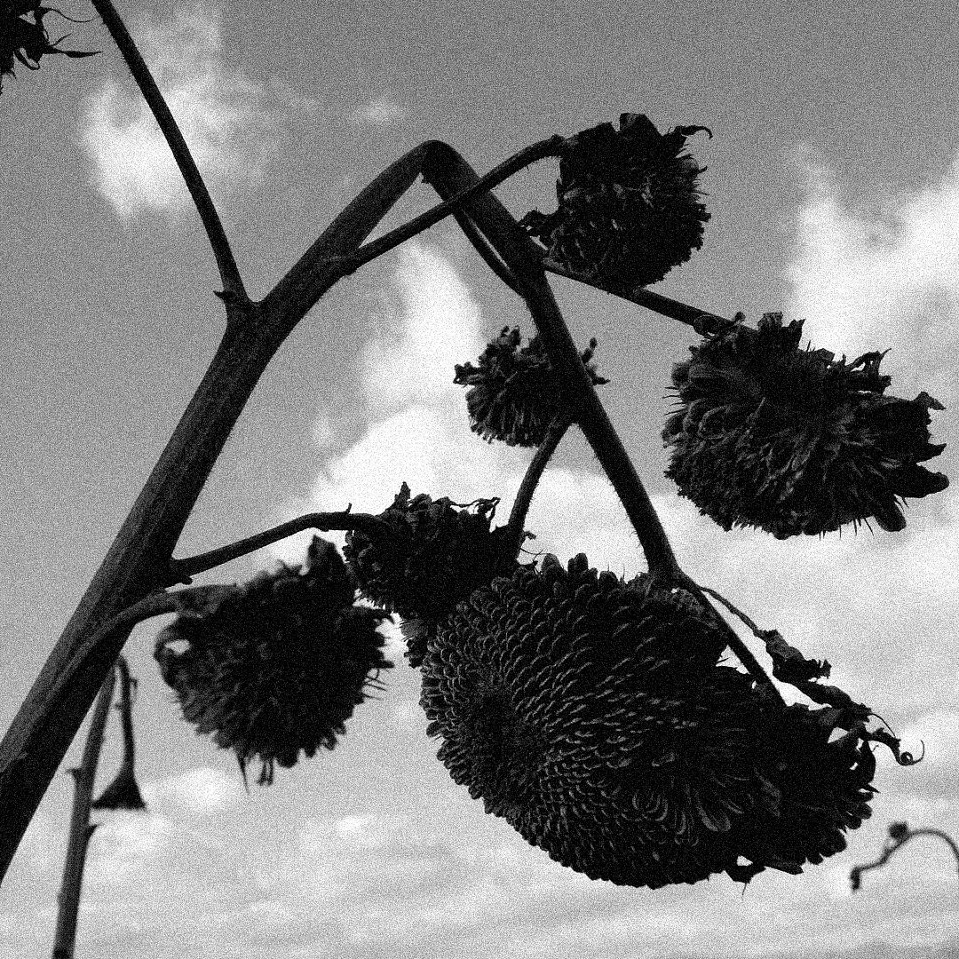 13--16年随拍（图ZNjgxOTM5MDQ=） - 风光摄影 - 站酷设计师马文祥原创素材 - 站酷ZCOOL