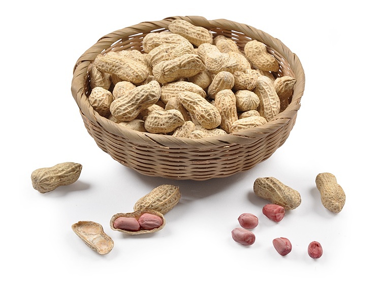 俏味堂产品摄影（图ZMTM3NzA3NTY=） - 产品摄影 - 站酷设计师恐狼制造原创素材 - 站酷ZCOOL