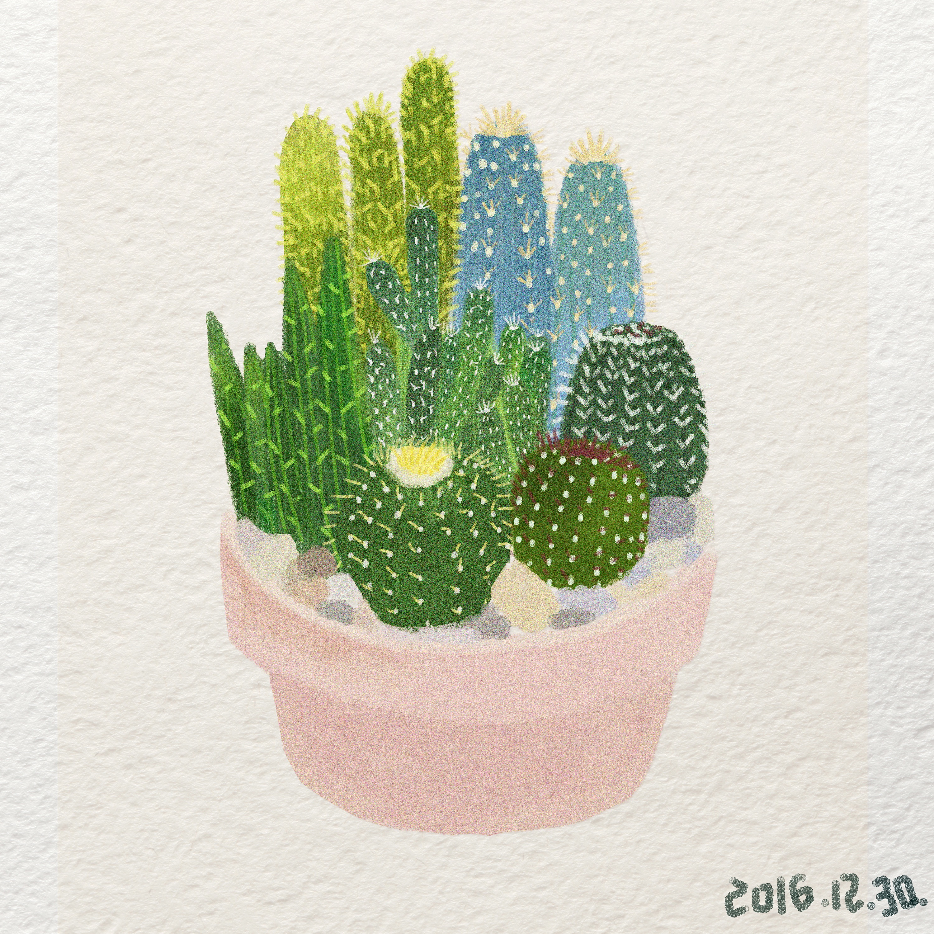 仙人掌小盆栽|插画|商业插画|比较皮的木头呀 - 原创作品 - 站酷