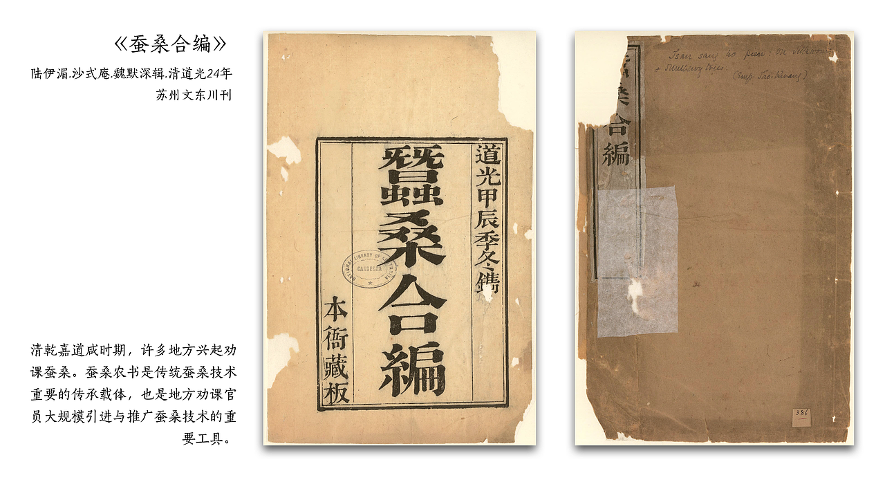 |品牌设计|兰香丽榭VI设计