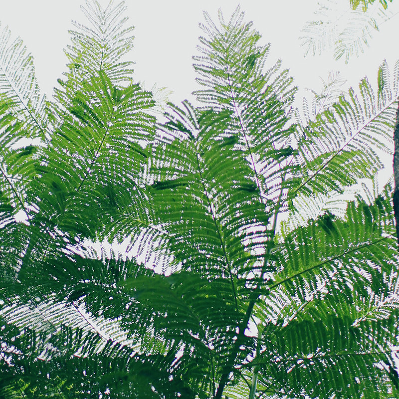 种桃种李种春风