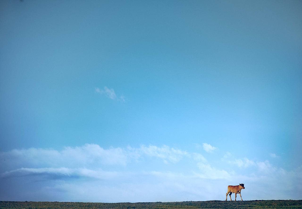 阿西里西是谁 行走的艺术 第四季（图ZMjg3Mjk0MDQ0） - 实验艺术 - 站酷设计师不是美术馆原创素材 - 站酷ZCOOL