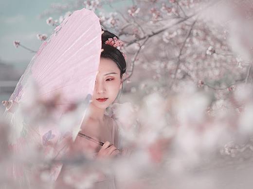 樱花樱花