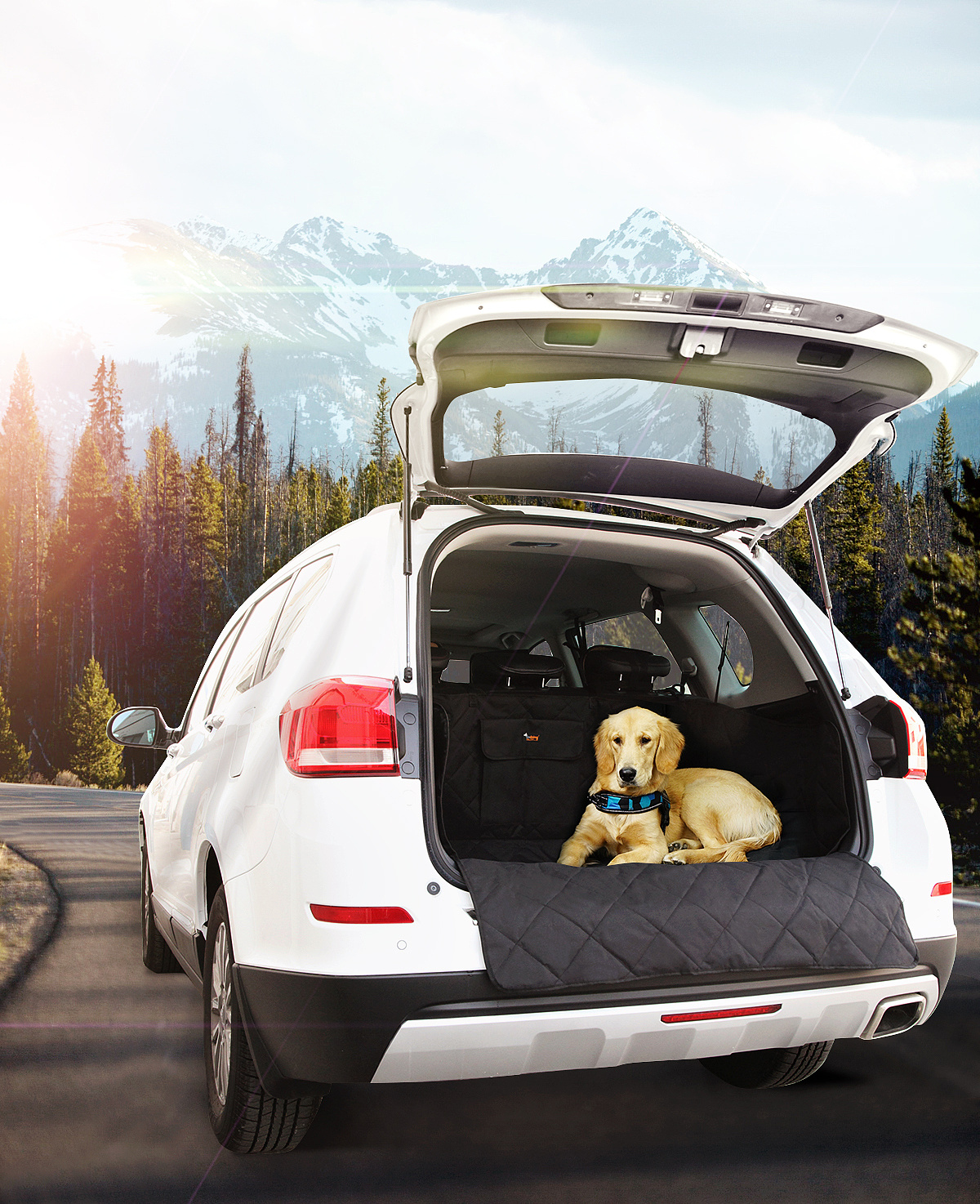 合成汽车宠物图