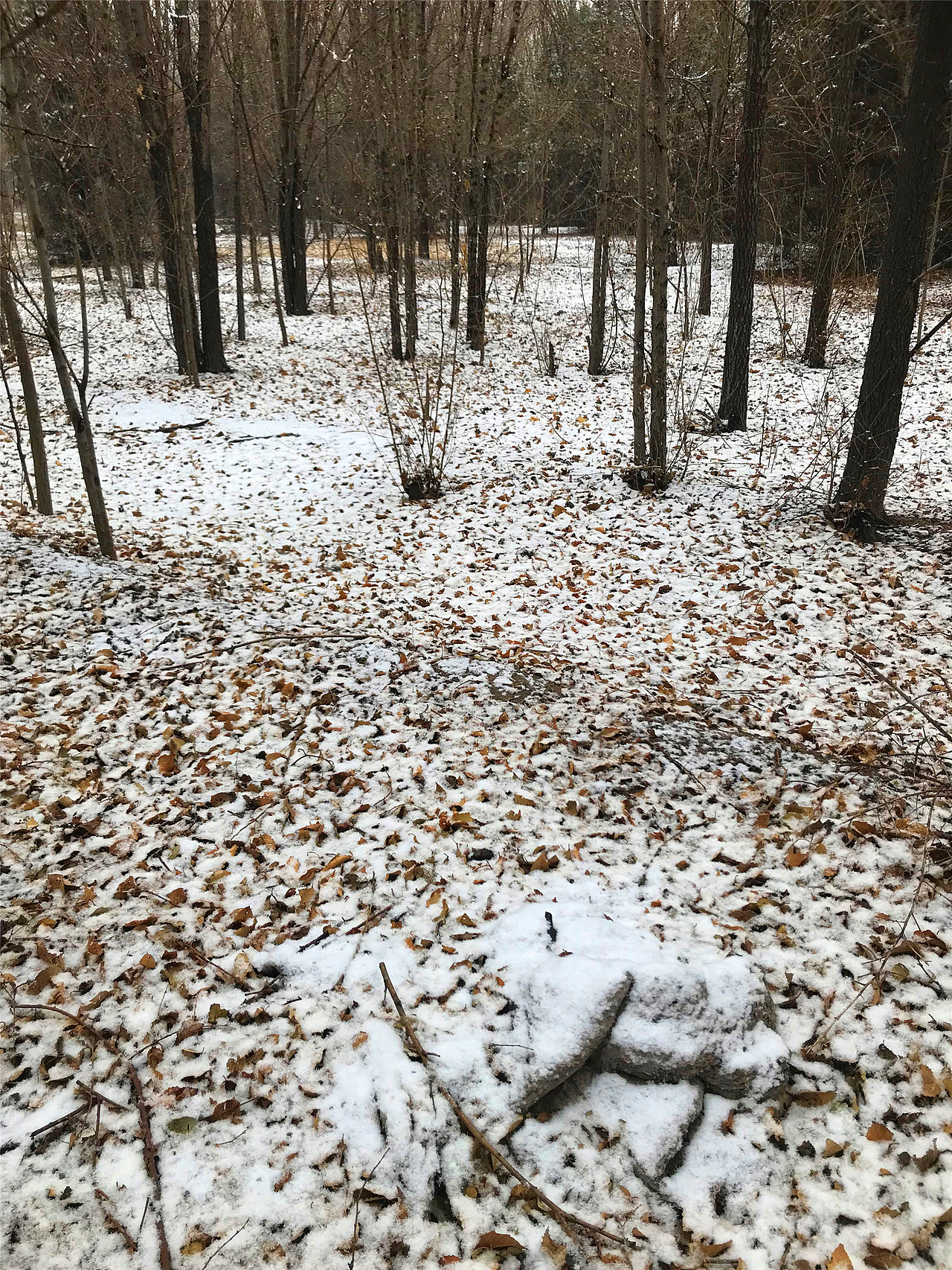 刘勇良手机纪实摄影:春雪