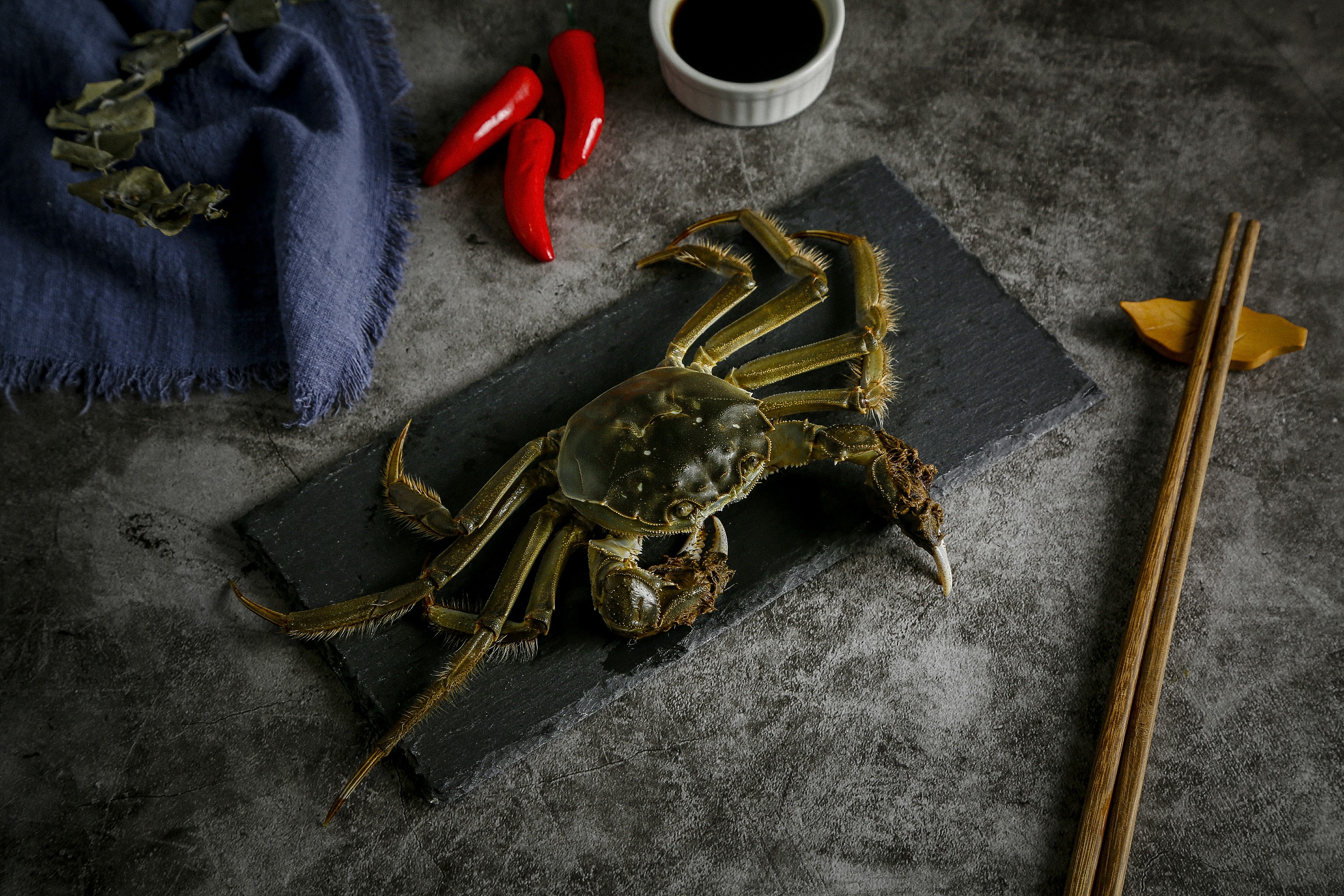 大闸蟹|摄影|产品|尹瀚逸 - 原创作品 - 站酷 (zcool)