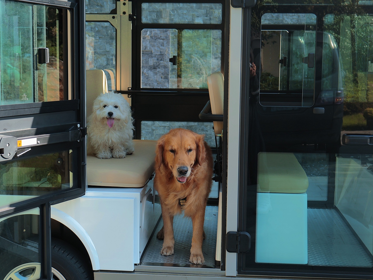 无锡揽云谷,狗狗入住宠物友好酒店的一天