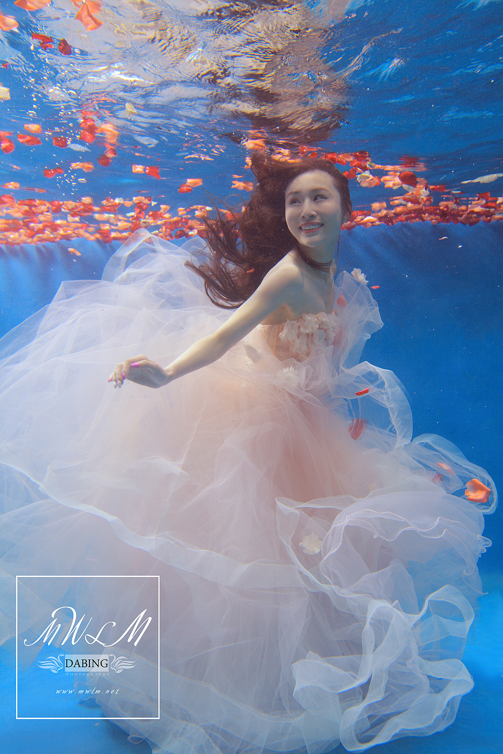 2014.collection 我唯美的系列水下攝影作品