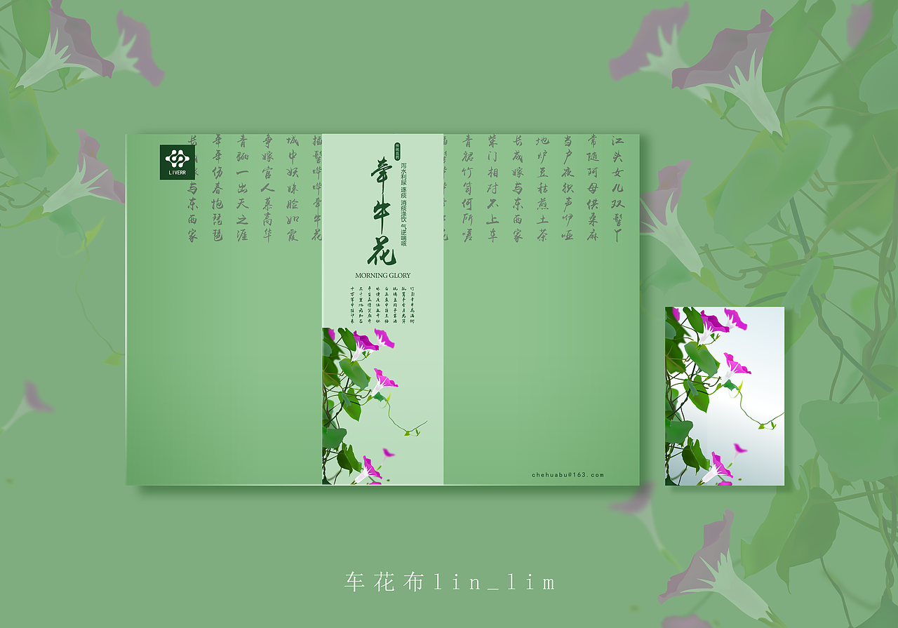 带有生肖名字的中草药