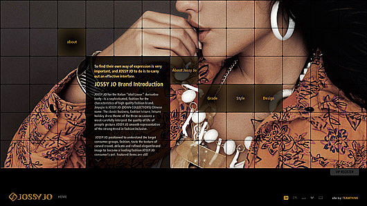 JOSSY JO website（图ZMzA2NTIw） - 图标 - 站酷设计师zzjbobo原创素材 - 站酷ZCOOL