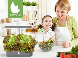 亚马逊产品系列（7）