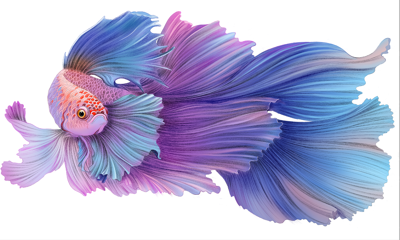 水彩画 一条鱼|纯艺术|水彩|艺博乐创意袁博 - 原创作品 - 站酷 (ZCOOL)