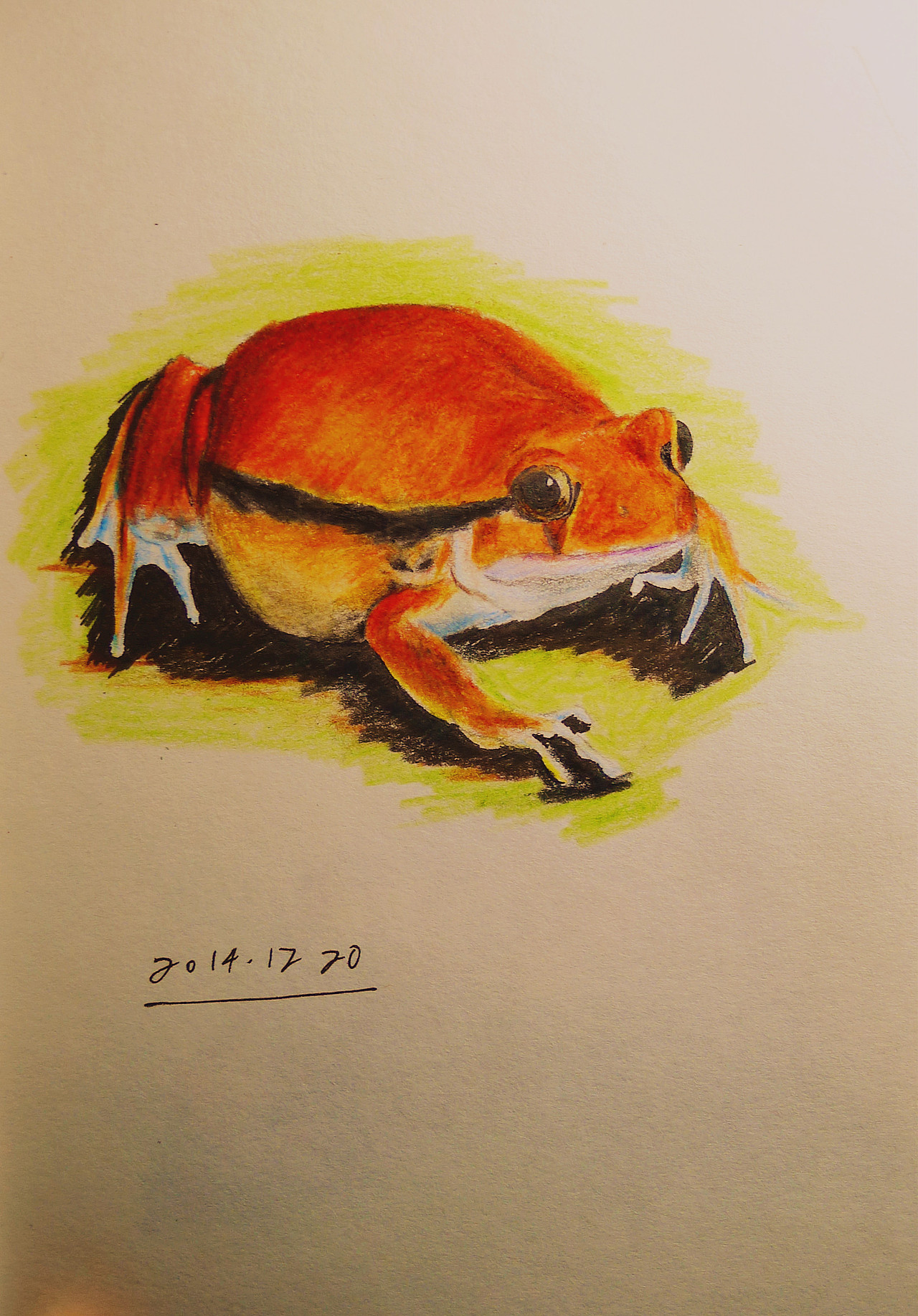 以前涂的各种动物