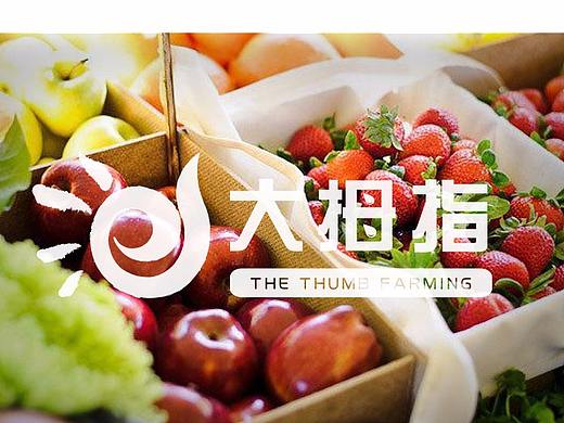果蔬类LOGO