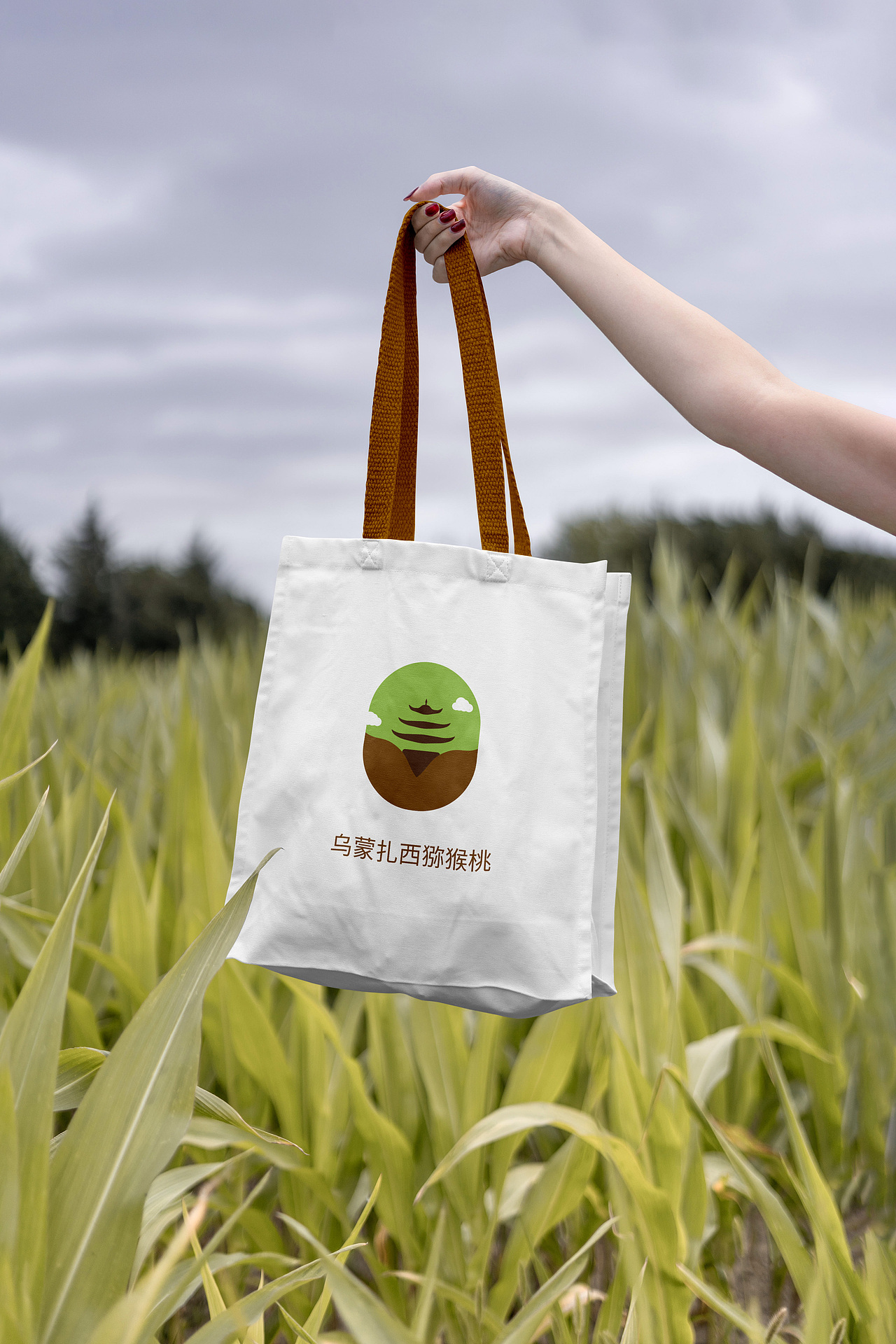 “乌蒙扎西”猕猴桃包装设计大赛（图ZMzY0MDY1NjY4） - 包装 - 站酷设计师巧巧巧羽原创素材 - 站酷ZCOOL