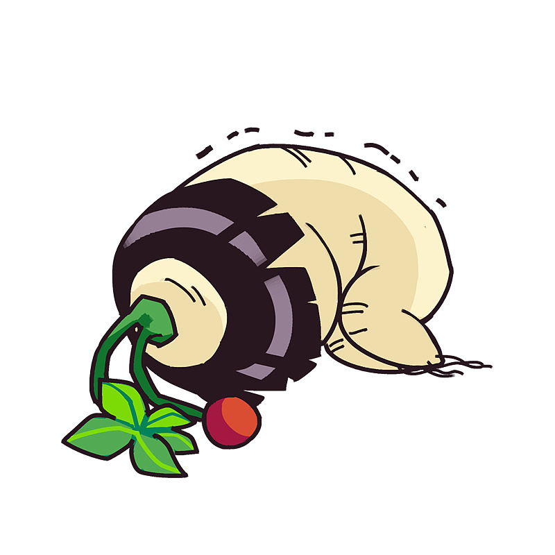 人参系列-微信公众号头像设计