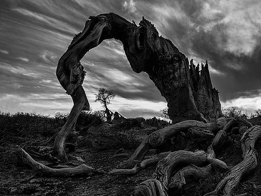 生生不息（个人主页-ZNTMwMzMzMjA=） - 风光摄影 - 站酷设计师达瓦顿巴原创素材 - 站酷ZCOOL