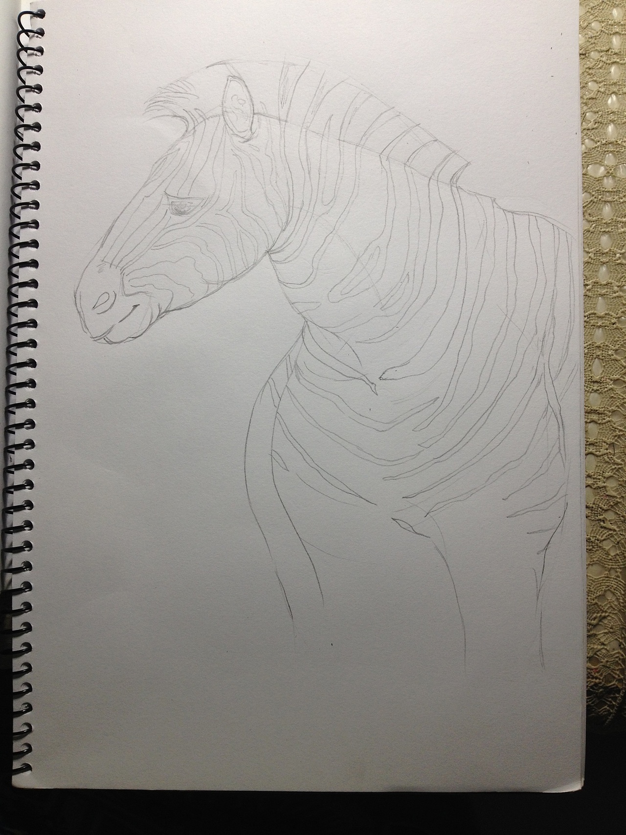 感觉头慢慢的有了肌肉感和轮廓。。