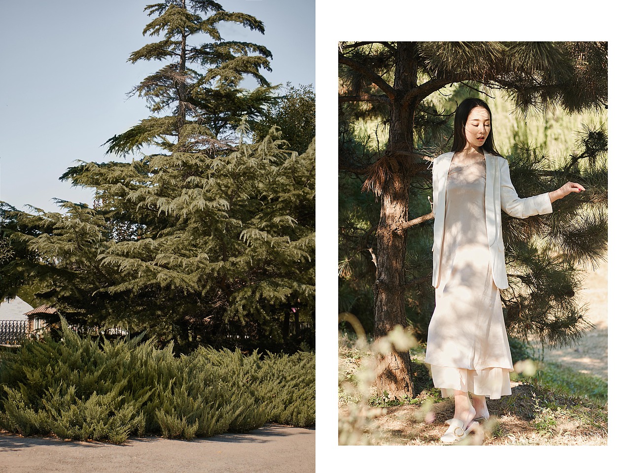 一缕清风拂发丝