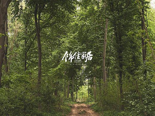 家具企业网站设计