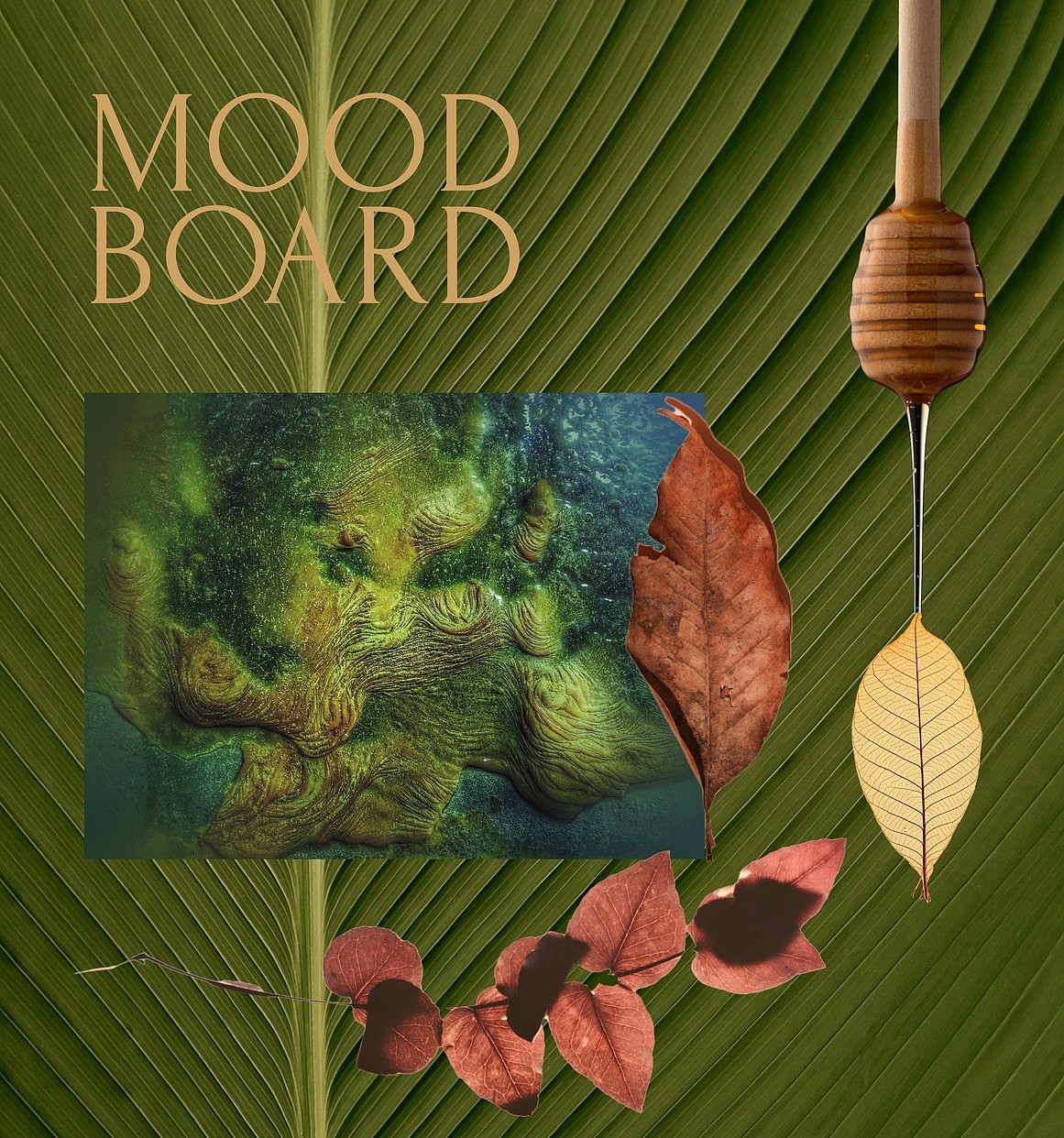 三口设计培训分享珠宝品牌企业形象标志设计LOGO设计