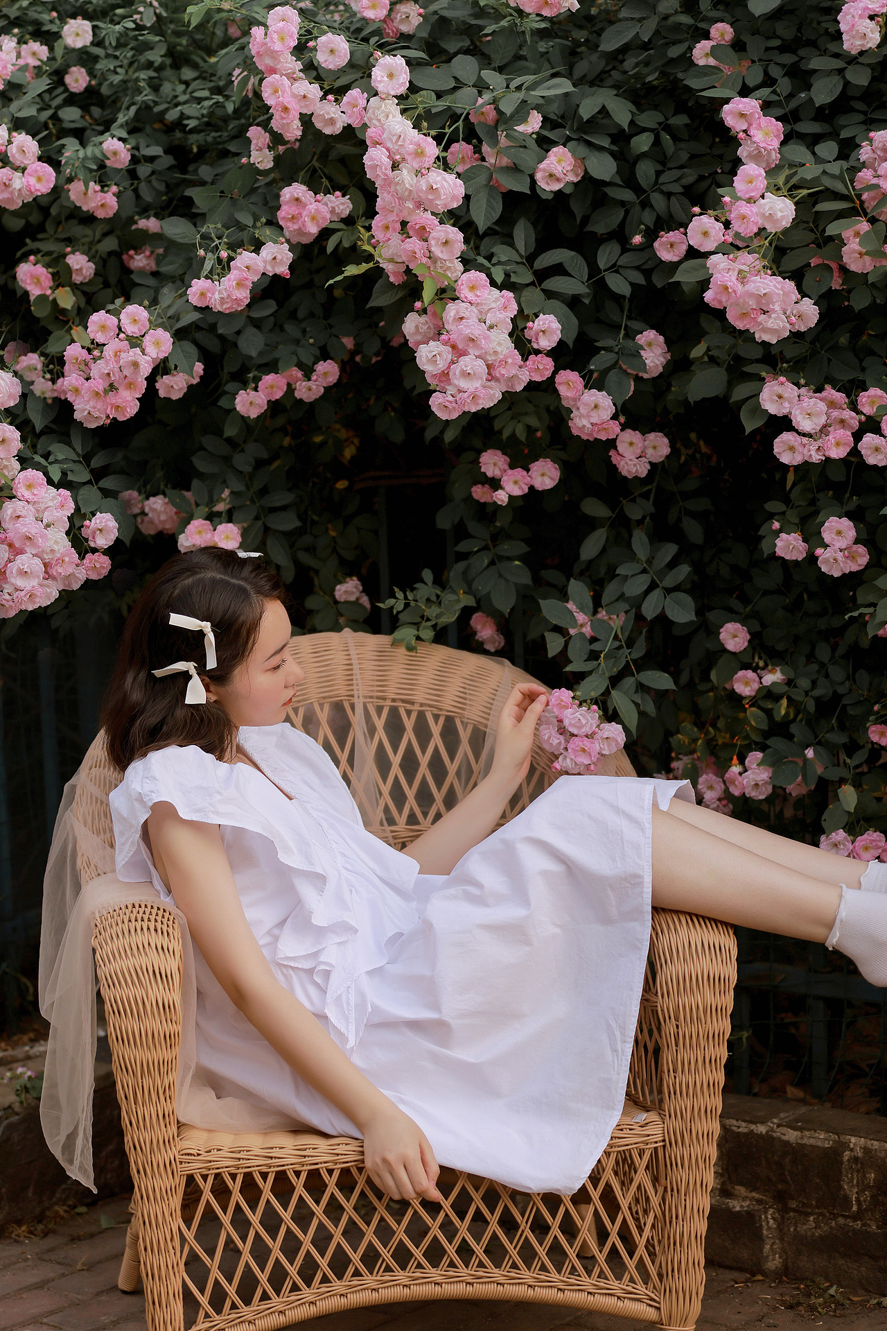 【暮春初夏 蔷薇花开】