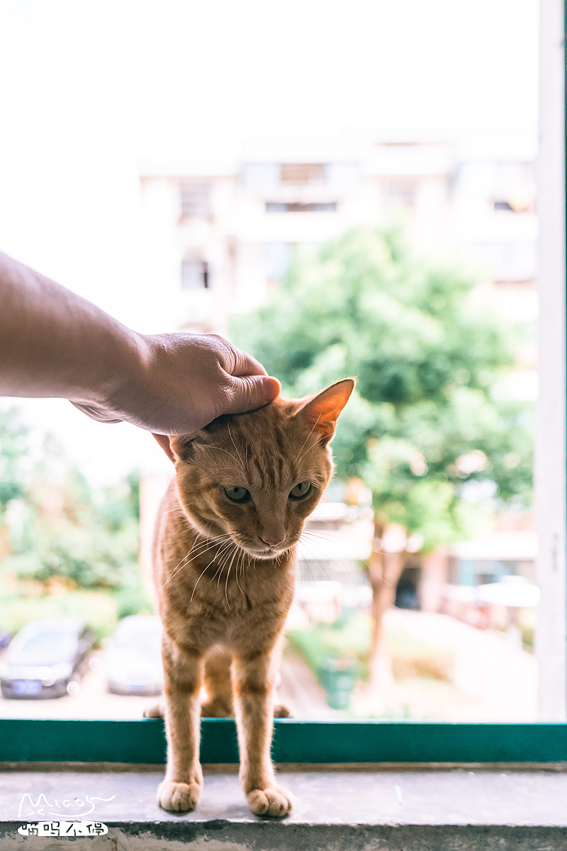 摸够了没,老子要下去吃饭了!