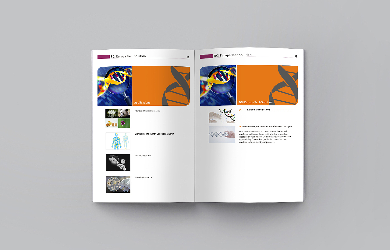 画册,英文画册,Product catalog,brochure