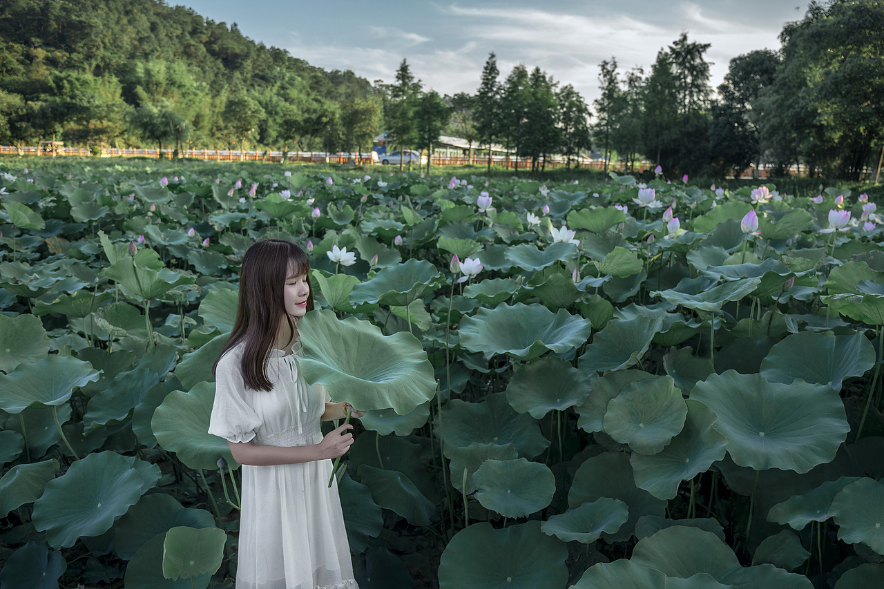荷花小清新人像